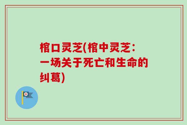 棺口灵芝(棺中灵芝：一场关于死亡和生命的纠葛)