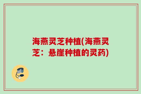 海燕灵芝种植(海燕灵芝：悬崖种植的灵药)