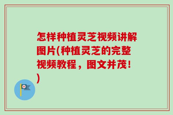 怎样种植灵芝视频讲解图片(种植灵芝的完整视频教程,图文并茂!) 怎样种植灵芝视频讲解图片(种植灵芝的完整视频教程,图文并茂!)