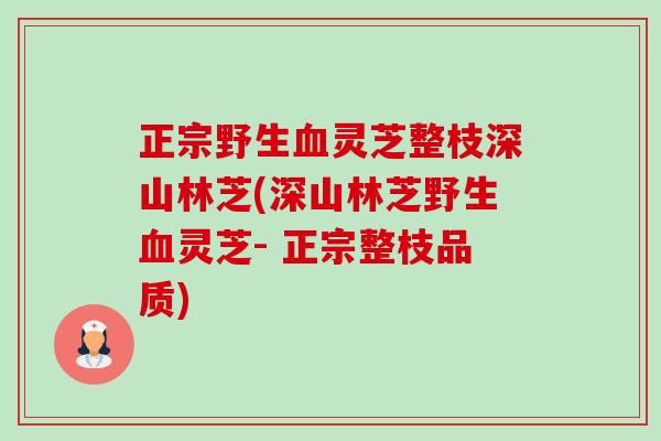 正宗野生灵芝整枝深山林芝(深山林芝野生灵芝- 正宗整枝品质) 正宗野生灵芝整枝深山林芝(深山林芝野生灵芝- 正宗整枝品质)