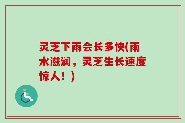 灵芝下雨会长多快(雨水滋润,灵芝生长速度惊人!) 灵芝下雨会长多快(雨水滋润,灵芝生长速度惊人!)