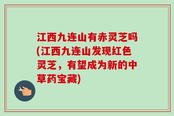 江西九连山有赤灵芝吗(江西九连山发现红色灵芝,有望成为新的中草药宝藏) 江西九连山有赤灵芝吗(江西九连山发现红色灵芝,有望成为新的中草药宝藏)