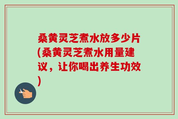 桑黄灵芝煮水放多少片(桑黄灵芝煮水用量建议,让你喝出养生功效) 桑黄灵芝煮水放多少片(桑黄灵芝煮水用量建议,让你喝出养生功效)