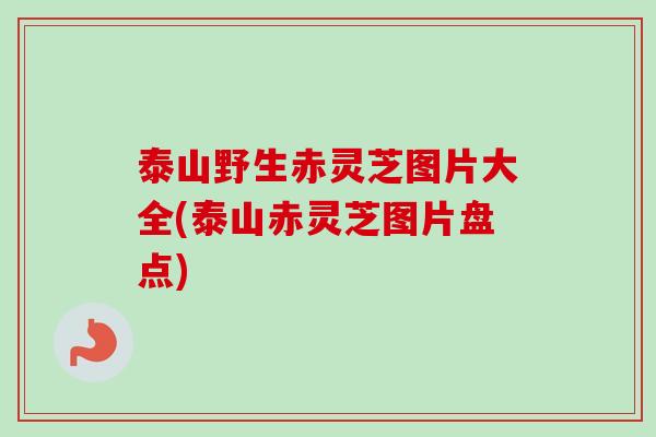 泰山野生赤灵芝图片大全(泰山赤灵芝图片盘点)
