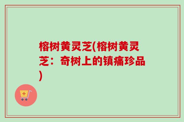 榕树黄灵芝(榕树黄灵芝:奇树上的镇痛珍品) 榕树黄灵芝(榕树黄灵芝:奇树上的镇痛珍品)