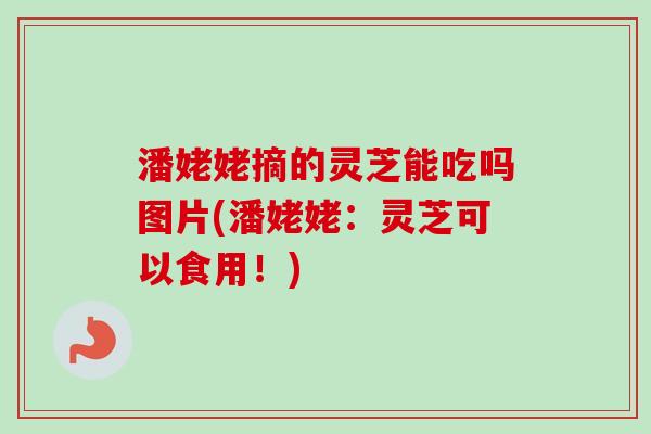 潘姥姥摘的灵芝能吃吗图片(潘姥姥:灵芝可以食用!) 潘姥姥摘的灵芝能吃吗图片(潘姥姥:灵芝可以食用!)