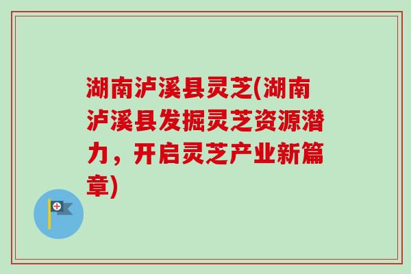 湖南泸溪县灵芝(湖南泸溪县发掘灵芝资源潜力，开启灵芝产业新篇章)