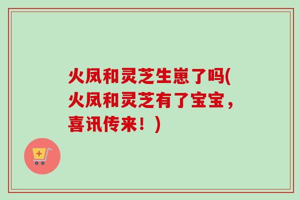 火凤和灵芝生崽了吗(火凤和灵芝有了宝宝,喜讯传来!) 火凤和灵芝生崽了吗(火凤和灵芝有了宝宝,喜讯传来!)