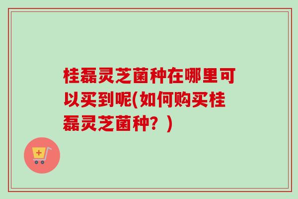 桂磊灵芝菌种在哪里可以买到呢(如何购买桂磊灵芝菌种?) 桂磊灵芝菌种在哪里可以买到呢(如何购买桂磊灵芝菌种?)