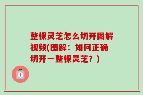整棵灵芝怎么切开图解视频(图解:如何正确切开一整棵灵芝?) 整棵灵芝怎么切开图解视频(图解:如何正确切开一整棵灵芝?)