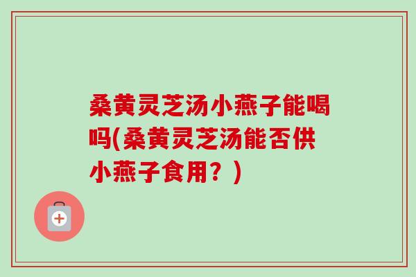 桑黄灵芝汤小燕子能喝吗(桑黄灵芝汤能否供小燕子食用?) 桑黄灵芝汤小燕子能喝吗(桑黄灵芝汤能否供小燕子食用?)