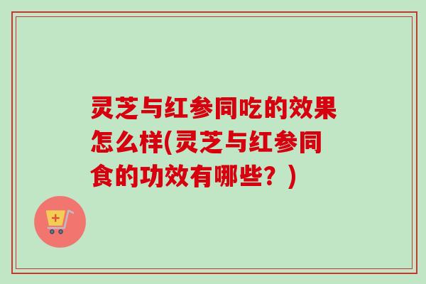 灵芝与红参同吃的效果怎么样(灵芝与红参同食的功效有哪些?) 灵芝与红参同吃的效果怎么样(灵芝与红参同食的功效有哪些?)