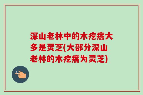 深山老林中的木疙瘩大多是灵芝(大部分深山老林的木疙瘩为灵芝) 深山老林中的木疙瘩大多是灵芝(大部分深山老林的木疙瘩为灵芝)