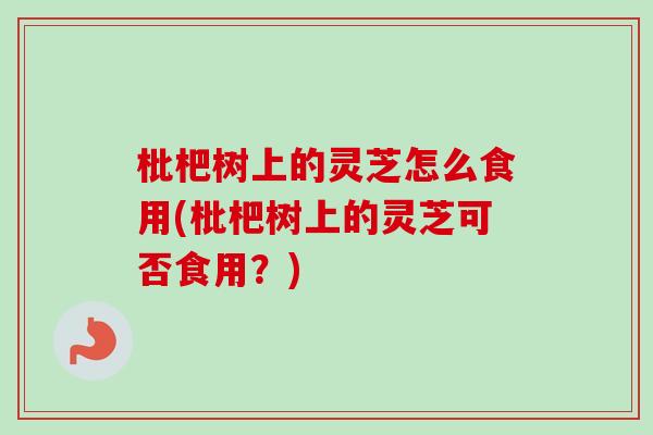 枇杷树上的灵芝怎么食用(枇杷树上的灵芝可否食用？)