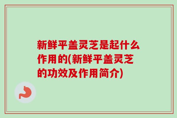 新鲜平盖灵芝是起什么作用的(新鲜平盖灵芝的功效及作用简介)