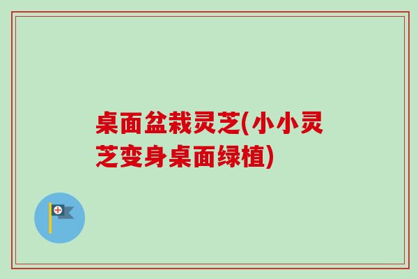 桌面盆栽灵芝(小小灵芝变身桌面绿植)