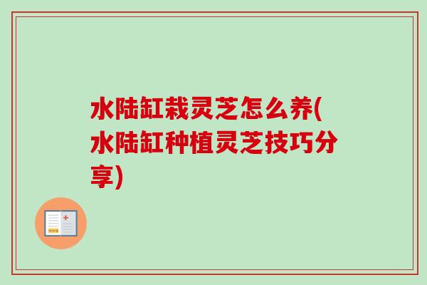 水陆缸栽灵芝怎么养(水陆缸种植灵芝技巧分享) 水陆缸栽灵芝怎么养(水陆缸种植灵芝技巧分享)