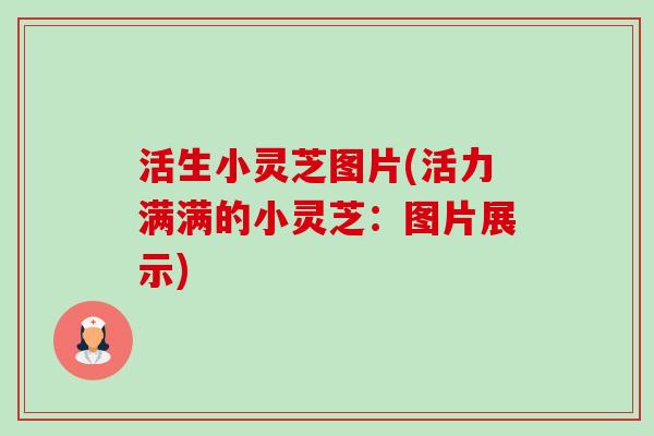 活生小灵芝图片(活力满满的小灵芝:图片展示) 活生小灵芝图片(活力满满的小灵芝:图片展示)