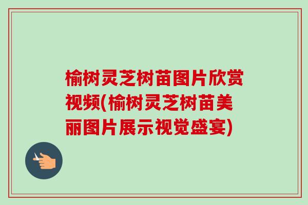 榆树灵芝树苗图片欣赏视频(榆树灵芝树苗美丽图片展示视觉盛宴) 榆树灵芝树苗图片欣赏视频(榆树灵芝树苗美丽图片展示视觉盛宴)