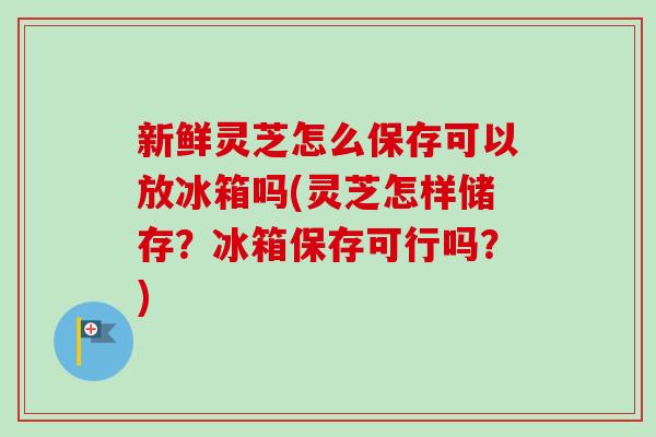 新鲜灵芝怎么保存可以放冰箱吗(灵芝怎样储存?冰箱保存可行吗?) 新鲜灵芝怎么保存可以放冰箱吗(灵芝怎样储存?冰箱保存可行吗?)