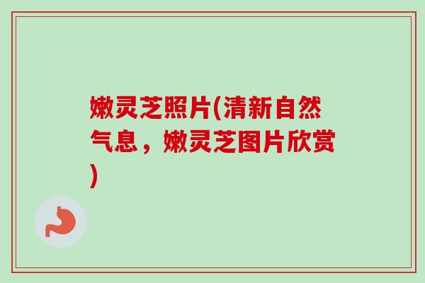 嫩灵芝照片(清新自然气息,嫩灵芝图片欣赏) 嫩灵芝照片(清新自然气息,嫩灵芝图片欣赏)