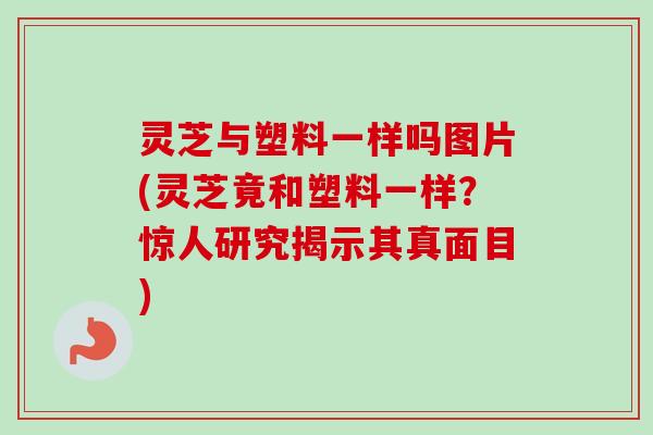 灵芝与塑料一样吗图片(灵芝竟和塑料一样?惊人研究揭示其真面目) 灵芝与塑料一样吗图片(灵芝竟和塑料一样?惊人研究揭示其真面目)
