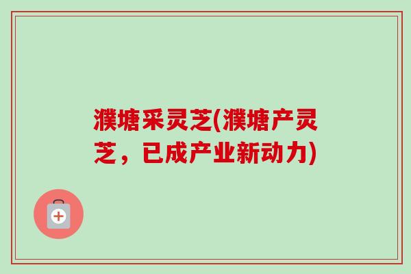 濮塘采灵芝(濮塘产灵芝,已成产业新动力) 濮塘采灵芝(濮塘产灵芝,已成产业新动力)