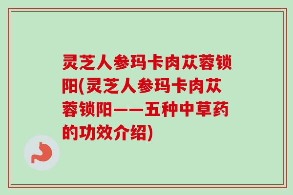 灵芝人参玛卡肉苁蓉锁阳(灵芝人参玛卡肉苁蓉锁阳——五种中草药的功效介绍) 灵芝人参玛卡肉苁蓉锁阳(灵芝人参玛卡肉苁蓉锁阳——五种中草药的功效介绍)