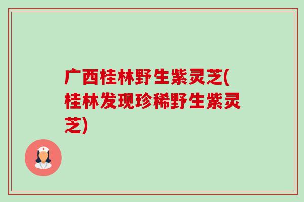 广西桂林野生紫灵芝(桂林发现珍稀野生紫灵芝)