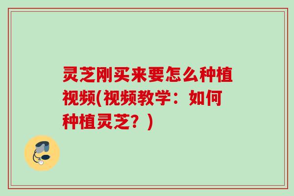 灵芝刚买来要怎么种植视频(视频教学：如何种植灵芝？)