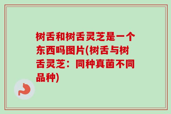 树舌和树舌灵芝是一个东西吗图片(树舌与树舌灵芝：同种真菌不同品种)