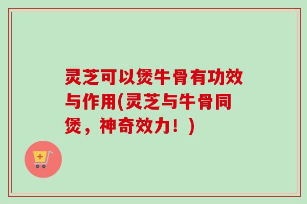 灵芝可以煲牛骨有功效与作用(灵芝与牛骨同煲，神奇效力！)