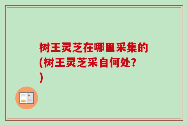树王灵芝在哪里采集的(树王灵芝采自何处？)