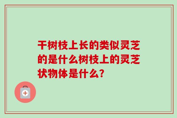 干树枝上长的类似灵芝的是什么树枝上的灵芝状物体是什么? 干树枝上长的类似灵芝的是什么树枝上的灵芝状物体是什么?