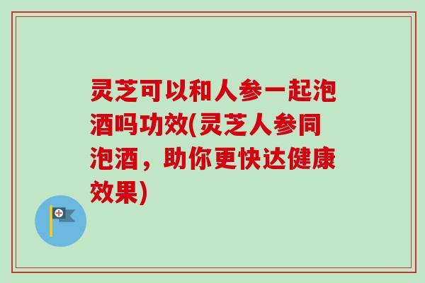 灵芝可以和人参一起泡酒吗功效(灵芝人参同泡酒，助你更快达健康效果)
