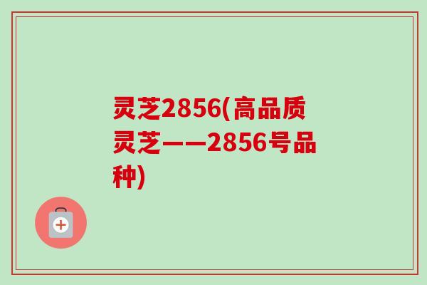 灵芝2856(高品质灵芝——2856号品种)