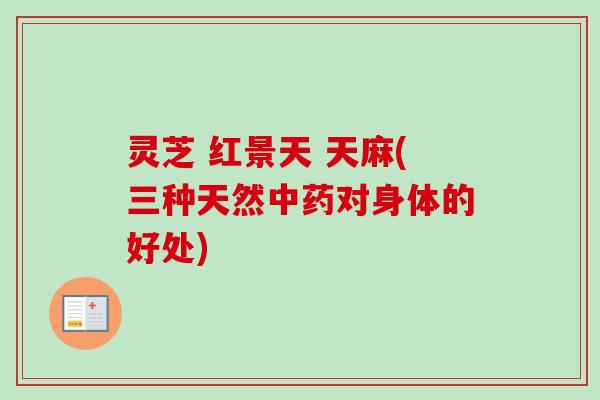 灵芝 红景天 天麻(三种天然对身体的好处)
