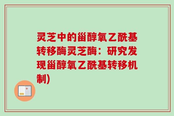 灵芝中的甾醇氧乙酰基转移酶灵芝酶：研究发现甾醇氧乙酰基转移机制)