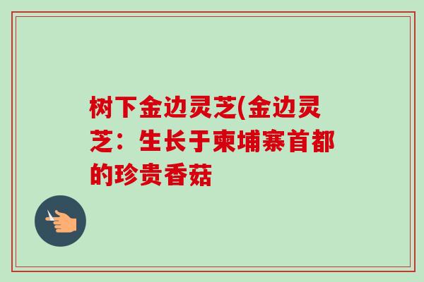 树下金边灵芝(金边灵芝：生长于柬埔寨首都的珍贵香菇