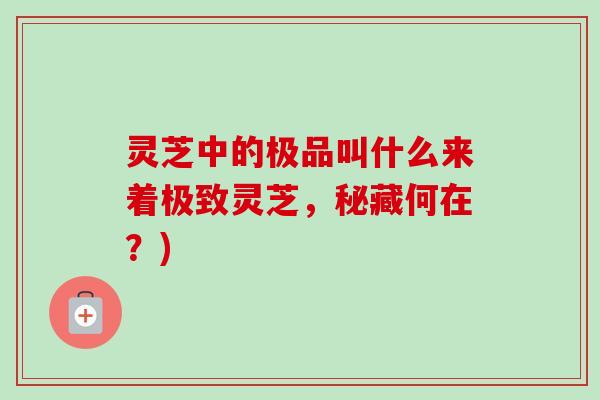 灵芝中的极品叫什么来着极致灵芝,秘藏何在?) 灵芝中的极品叫什么来着极致灵芝,秘藏何在?)