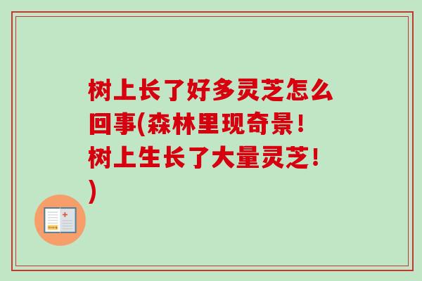 树上长了好多灵芝怎么回事(森林里现奇景!树上生长了大量灵芝!) 树上长了好多灵芝怎么回事(森林里现奇景!树上生长了大量灵芝!)