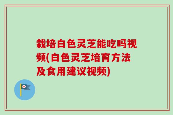 栽培白色灵芝能吃吗视频(白色灵芝培育方法及食用建议视频)