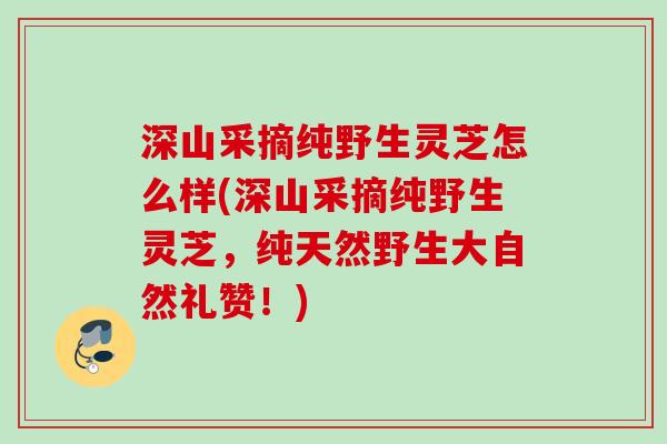 深山采摘纯野生灵芝怎么样(深山采摘纯野生灵芝,纯天然野生大自然礼赞!) 深山采摘纯野生灵芝怎么样(深山采摘纯野生灵芝,纯天然野生大自然礼赞!)