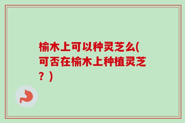 榆木上可以种灵芝么(可否在榆木上种植灵芝?) 榆木上可以种灵芝么(可否在榆木上种植灵芝?)