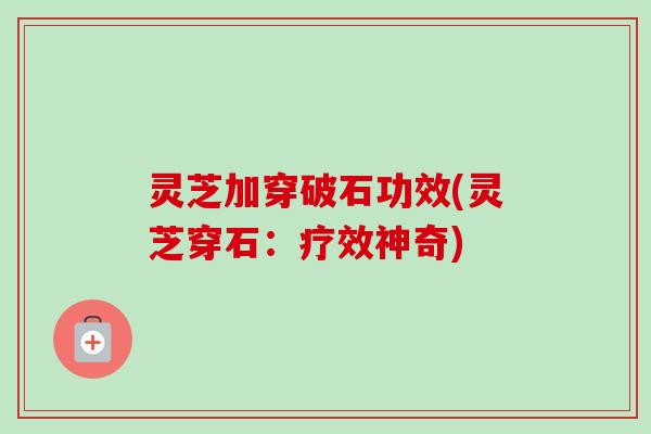灵芝加穿破石功效(灵芝穿石:疗效神奇) 灵芝加穿破石功效(灵芝穿石:疗效神奇)