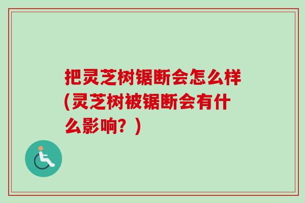 把灵芝树锯断会怎么样(灵芝树被锯断会有什么影响?) 把灵芝树锯断会怎么样(灵芝树被锯断会有什么影响?)