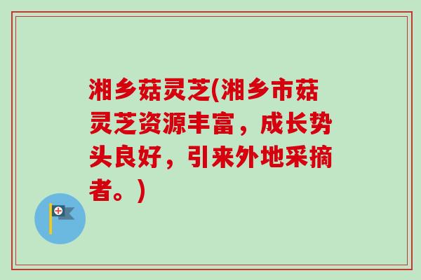 湘乡菇灵芝(湘乡市菇灵芝资源丰富,成长势头良好,引来外地采摘者。) 湘乡菇灵芝(湘乡市菇灵芝资源丰富,成长势头良好,引来外地采摘者。)