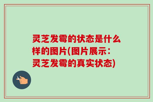 灵芝发霉的状态是什么样的图片(图片展示：灵芝发霉的真实状态)