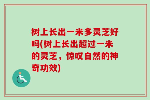 树上长出一米多灵芝好吗(树上长出超过一米的灵芝,惊叹自然的神奇功效) 树上长出一米多灵芝好吗(树上长出超过一米的灵芝,惊叹自然的神奇功效)