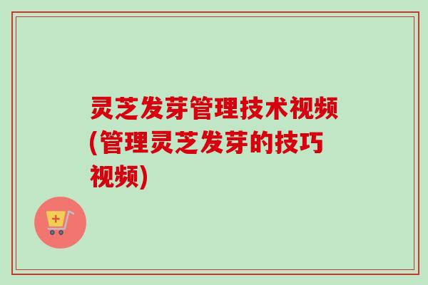 灵芝发芽管理技术视频(管理灵芝发芽的技巧视频) 灵芝发芽管理技术视频(管理灵芝发芽的技巧视频)